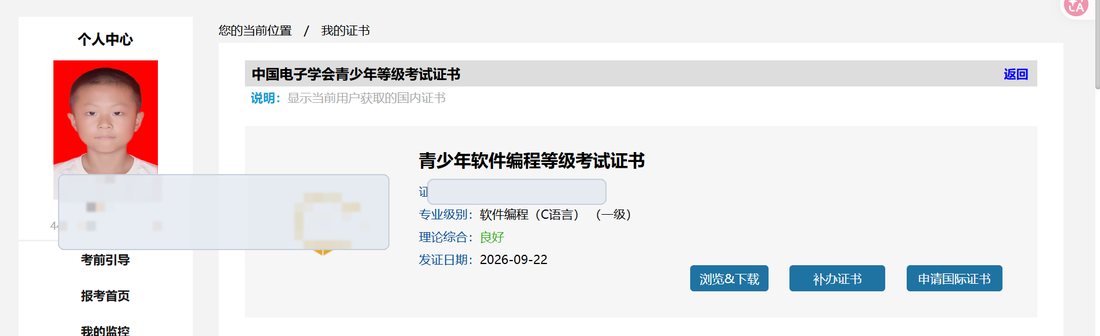 青少年软件编程 C 语言一级证书,理论综合良好